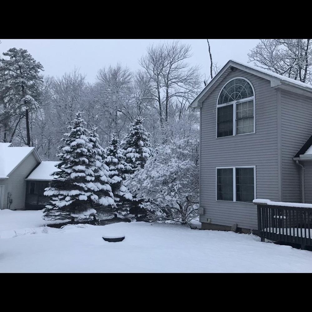 Meet your Posher, Sidon